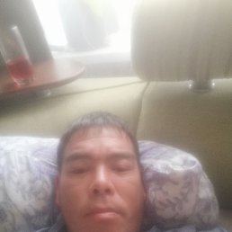 ������, 38 ���, ������